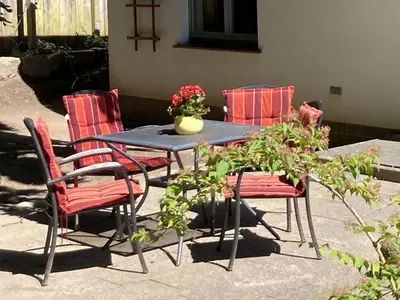Ferienwohnung für 5 Personen (56 m²) in Heringsdorf (Seebad) 8/10