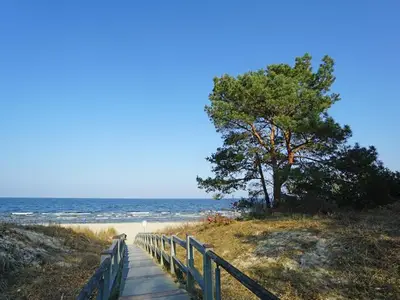 Ferienwohnung für 4 Personen (54 m²) in Heringsdorf (Seebad) 2/10