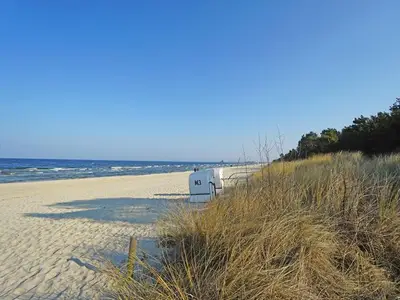 Ferienwohnung für 4 Personen (54 m²) in Heringsdorf (Seebad) 3/10