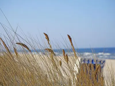 Ferienwohnung für 4 Personen (54 m²) in Heringsdorf (Seebad) 4/10