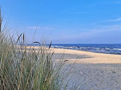 Ferienwohnung für 4 Personen (48 m²) in Heringsdorf (Seebad) 10/10