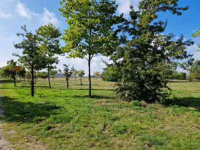 Ferienwohnung für 4 Personen (84 m²) in Heringsdorf (Seebad) 4/10