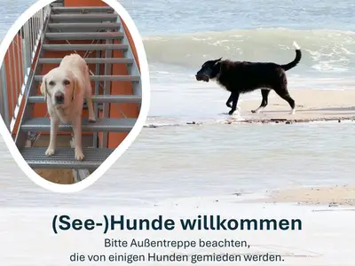 Ferienwohnung für 7 Personen (100 m²) in Heringsdorf (Seebad) 9/10