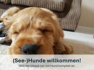Ferienwohnung für 7 Personen (100 m²) in Heringsdorf (Seebad) 10/10