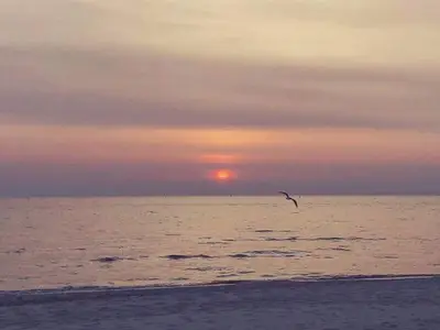 Ferienwohnung für 4 Personen (48 m²) in Heringsdorf (Seebad) 8/10