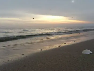 Ferienwohnung für 4 Personen (48 m²) in Heringsdorf (Seebad) 9/10