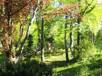 Ferienwohnung für 4 Personen (64 m²) in Heringsdorf (Seebad) 4/10