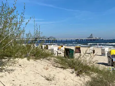 Ferienwohnung für 2 Personen (55 m²) in Heringsdorf (Seebad) 9/10