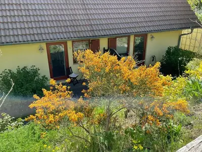 Ferienwohnung für 2 Personen (28 m²) in Heringsdorf (Seebad) 4/10