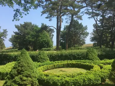 Ferienwohnung für 3 Personen (82 m²) in Heringsdorf (Seebad) 3/10