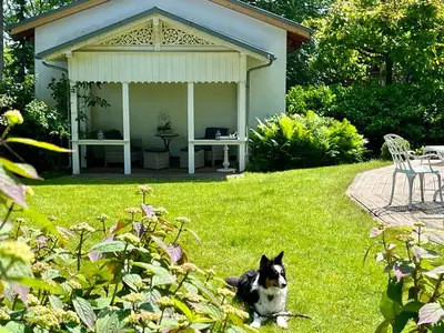 Ferienwohnung für 6 Personen in Heringsdorf (Seebad) 5/10