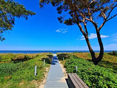 Ferienwohnung für 3 Personen (33 m²) in Heringsdorf (Seebad) 9/10