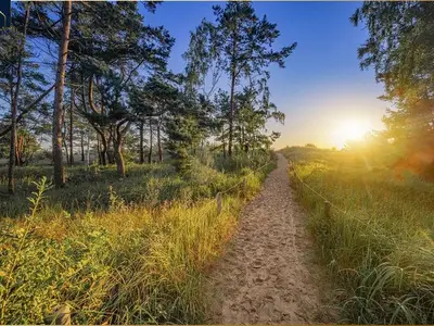 Ferienwohnung für 5 Personen (75 m²) in Heringsdorf (Seebad) 6/10