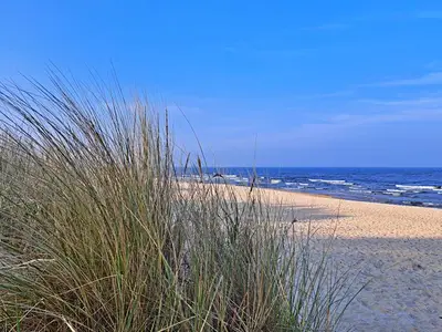 Ferienwohnung für 3 Personen (43 m²) in Heringsdorf (Seebad) 6/10