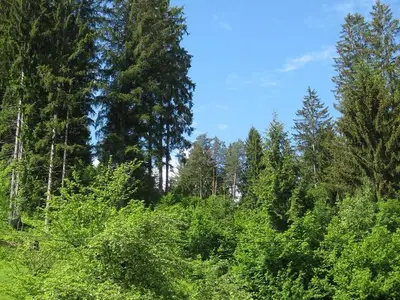 Ferienwohnung für 15 Personen (170 m²) in Hermagor-Pressegger See 5/10