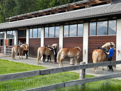 Ferienwohnung für 4 Personen (56 m²) in Hermagor-Pressegger See 8/10