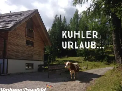 Ferienwohnung für 4 Personen (45 m²) in Hermagor-Pressegger See 3/10