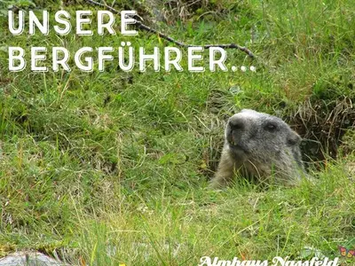 Ferienwohnung für 4 Personen (45 m²) in Hermagor-Pressegger See 4/10