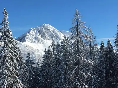 Ferienwohnung für 4 Personen (65 m²) in Hermagor-Pressegger See 10/10