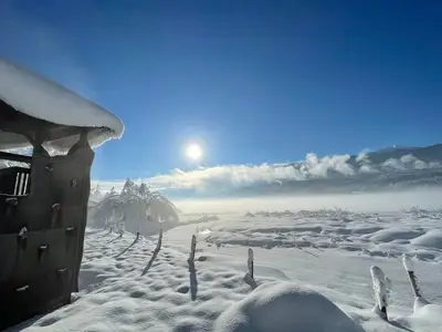 Ferienwohnung für 4 Personen (60 m²) in Hermagor-Pressegger See 2/10