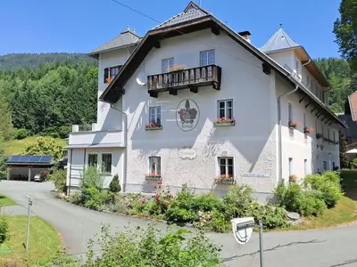 Ferienwohnung für 4 Personen (45 m²) in Hermagor-Pressegger See 3/10