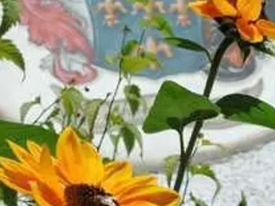 Ferienwohnung für 4 Personen (45 m²) in Hermagor-Pressegger See 5/10