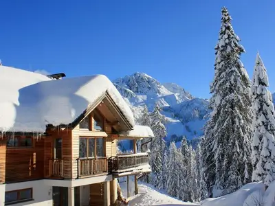 Ferienwohnung für 4 Personen (70 m²) in Hermagor-Pressegger See 2/10