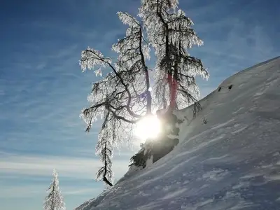 Ferienwohnung für 4 Personen (70 m²) in Hermagor-Pressegger See 8/10
