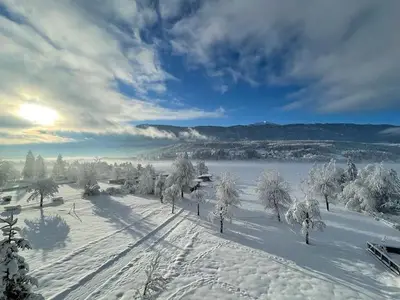 Ferienwohnung für 6 Personen (68 m²) in Hermagor-Pressegger See 10/10