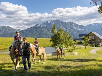 Ferienwohnung für 4 Personen (56 m²) in Hermagor-Pressegger See 3/10