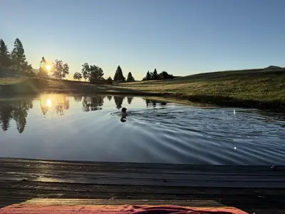 Ferienwohnung für 4 Personen (56 m²) in Hermagor-Pressegger See 5/10