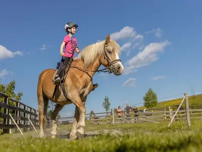 Ferienwohnung für 4 Personen (56 m²) in Hermagor-Pressegger See 8/10