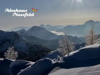 Ferienwohnung für 4 Personen (45 m²) in Hermagor-Pressegger See 1/10