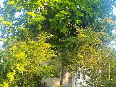 Ferienwohnung für 22 Personen (200 m²) in Heřmanice 7/10