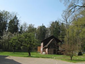 21983781-Ferienwohnung-5-Hermannsburg-300x225-1