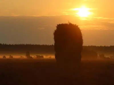 ein typischer Sonnenuntergang