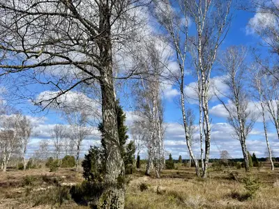 Natur in der Nähe