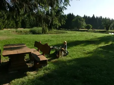 Ferienwohnung für 4 Personen (35 m²) in Hermsdorf/Erzgebirge 6/10