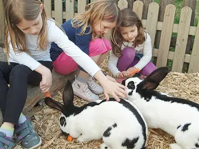Ferienwohnung für 4 Personen (50 m²) in Herrieden 1/7