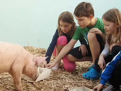 Ferienwohnung für 4 Personen (60 m²) in Herrieden 1/6