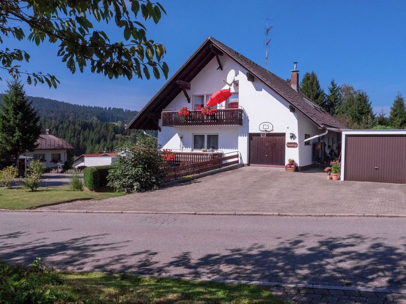 19341668-Ferienwohnung-3-Herrischried-800x600-0