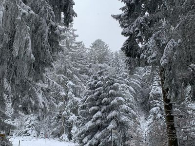 Ferien Appartement am Hotzenwald,