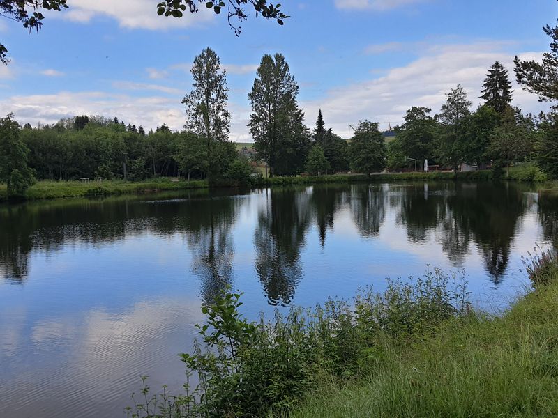 24050723-Ferienwohnung-4-Herrischried-800x600-2