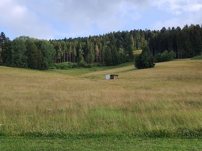 Ferienwohnung Seeblick