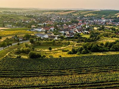 Weinort Herrnbaumgarten