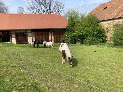 Ferienwohnung für 7 Personen (80 m²) in Herrnhut 8/10