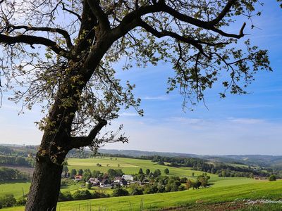 Nieder-Holte Landschaft