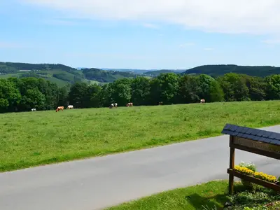 Ferienwohnung für 3 Personen (55 m²) in Herscheid 9/10