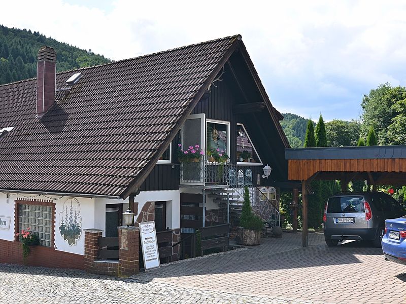 19340762-Ferienwohnung-3-Herzberg (Harz)-800x600-1