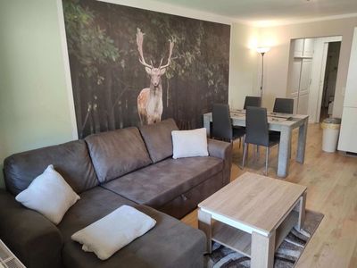 Ferienwohnung für 4 Personen (45 m²) in Herzberg (Harz) 5/10